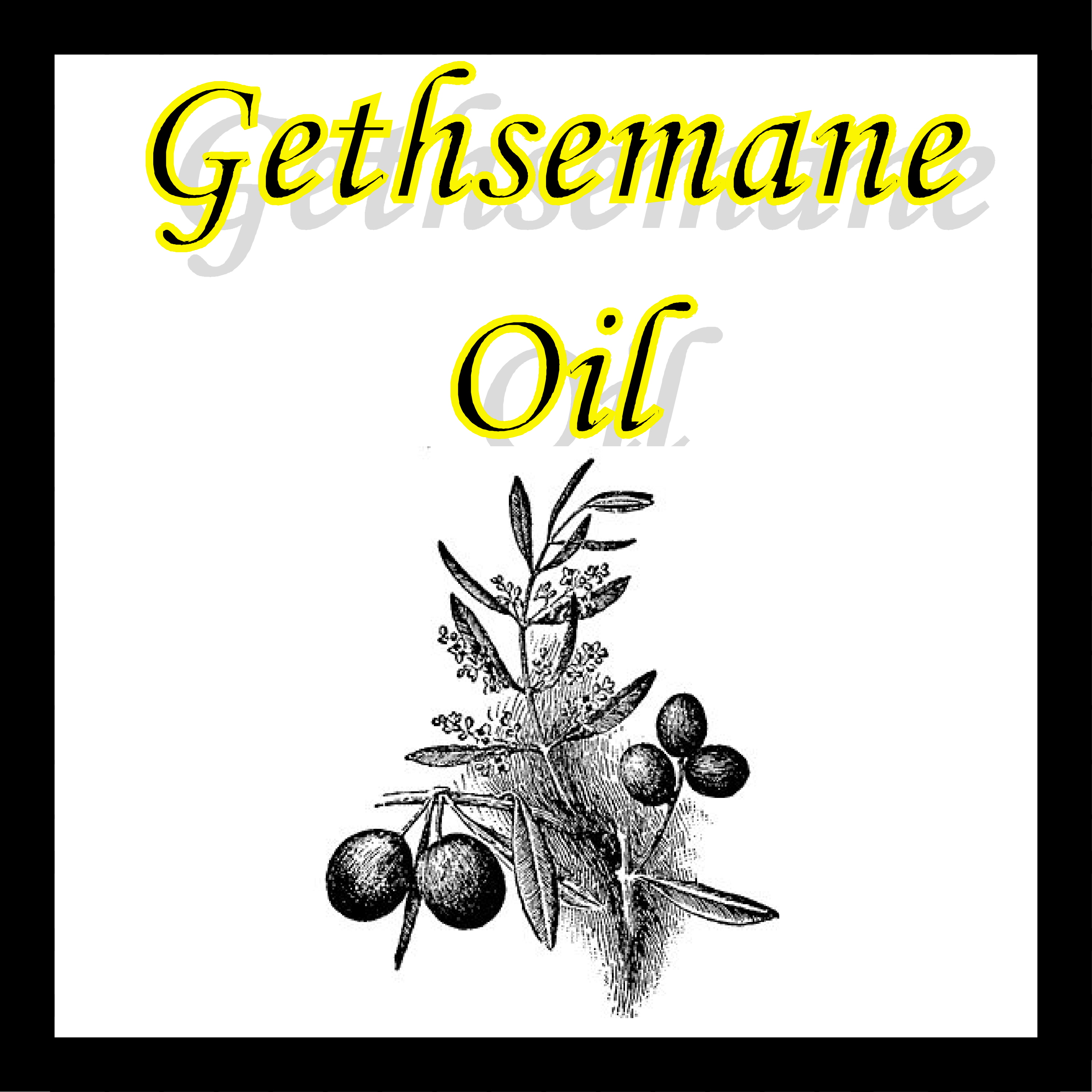 oillogo.jpg